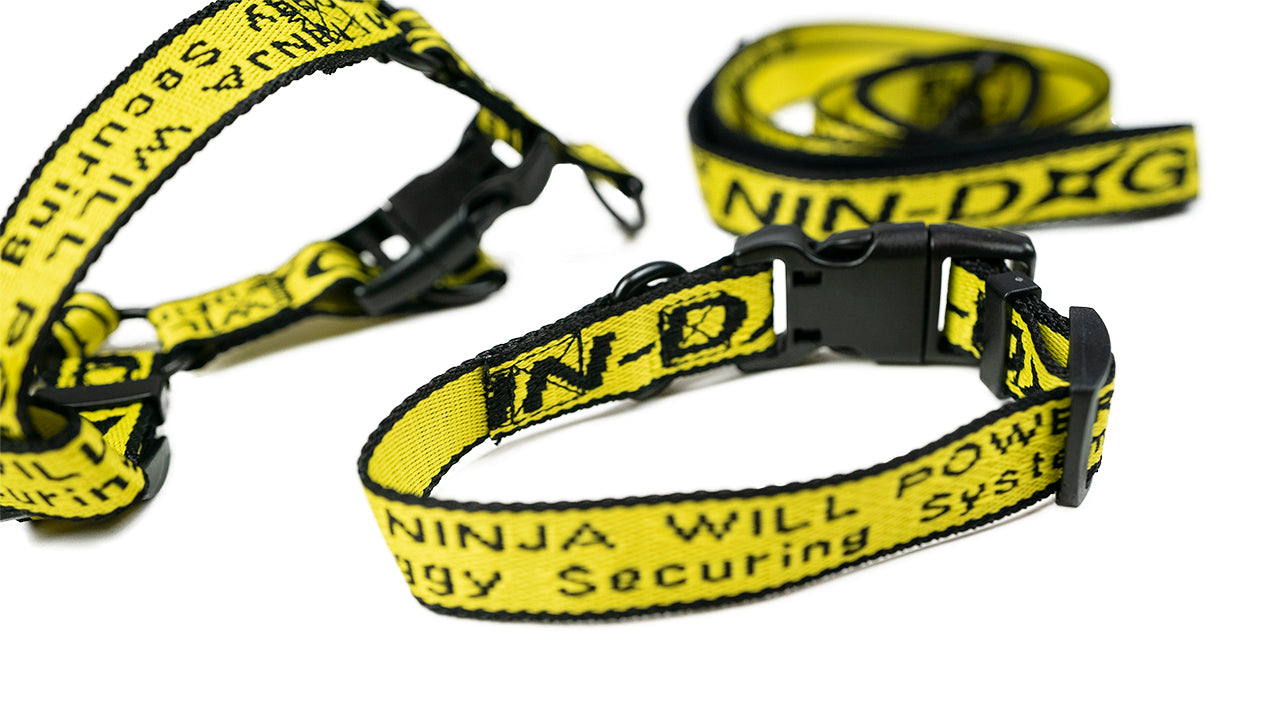 Nin Doggy Securing System